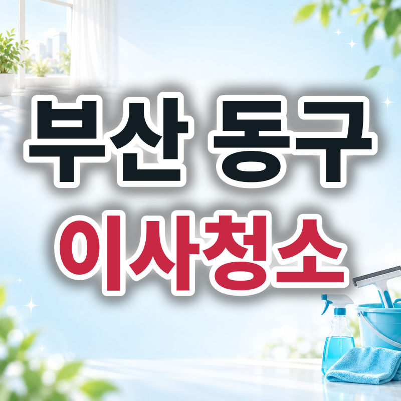 부산 동구 이사청소 견적 비교