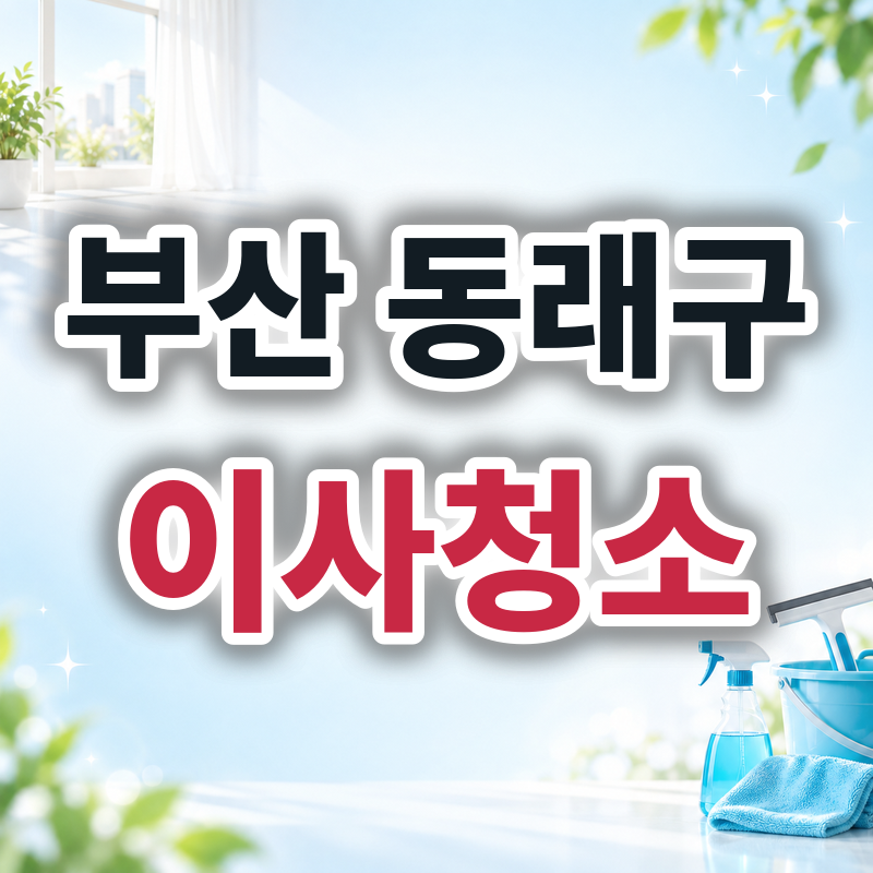 부산 동래구 이사청소 견적 비교