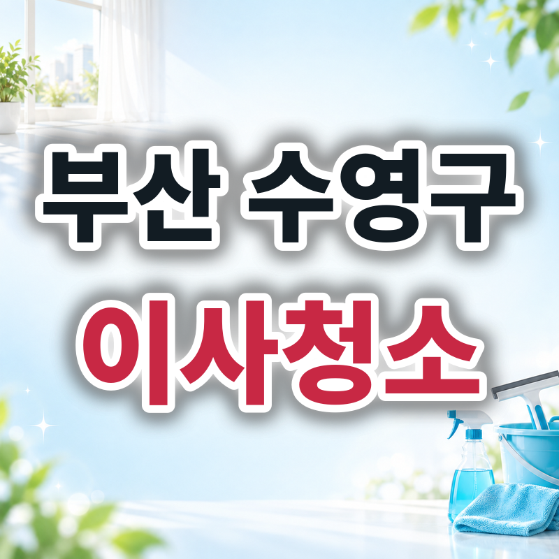 부산 수영구 이사청소 견적 비교