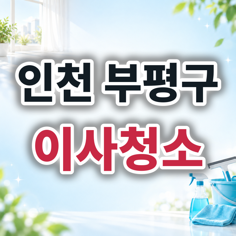 인천 부평구 이사청소 견적 비교